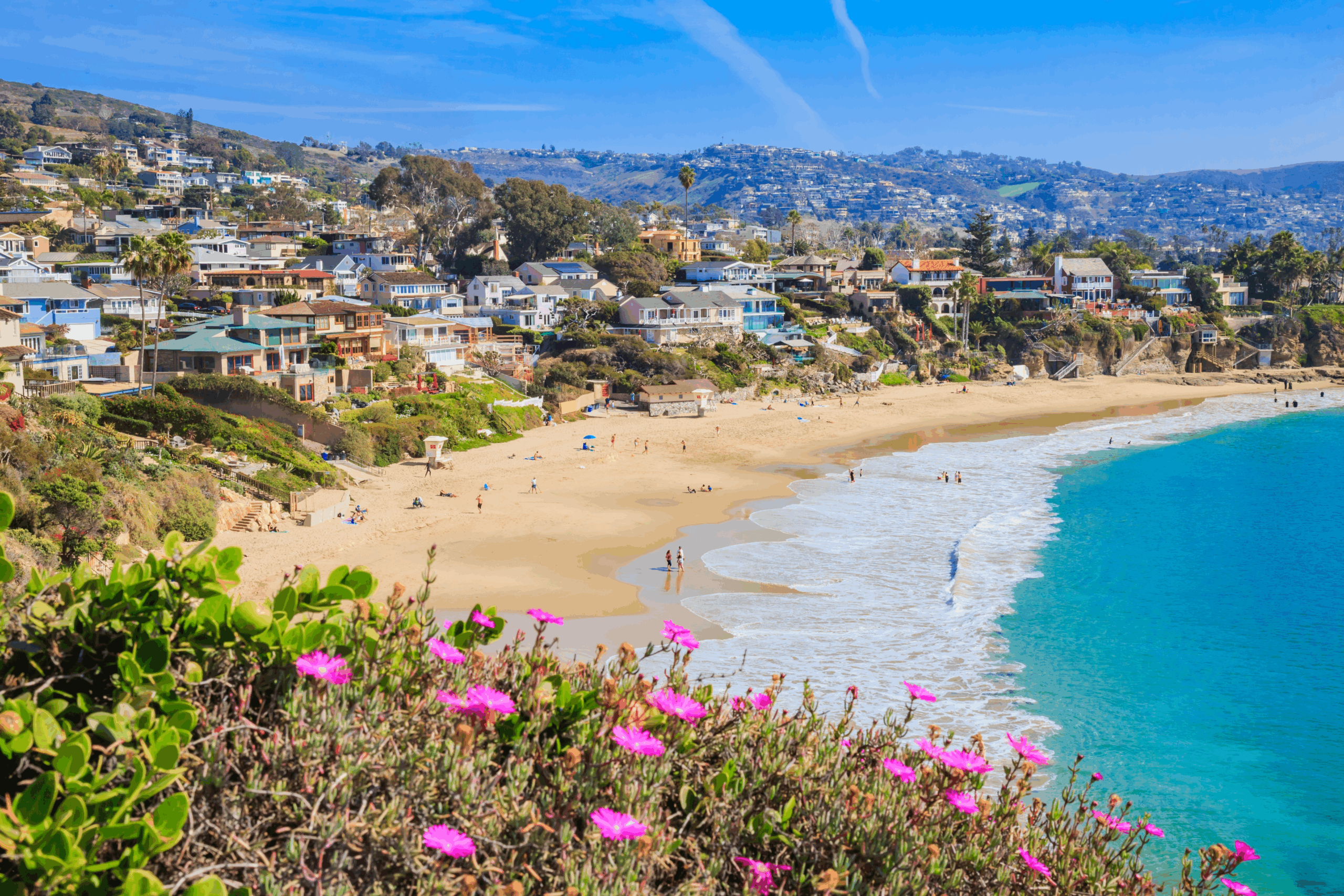 shutterstock_2270462645 1