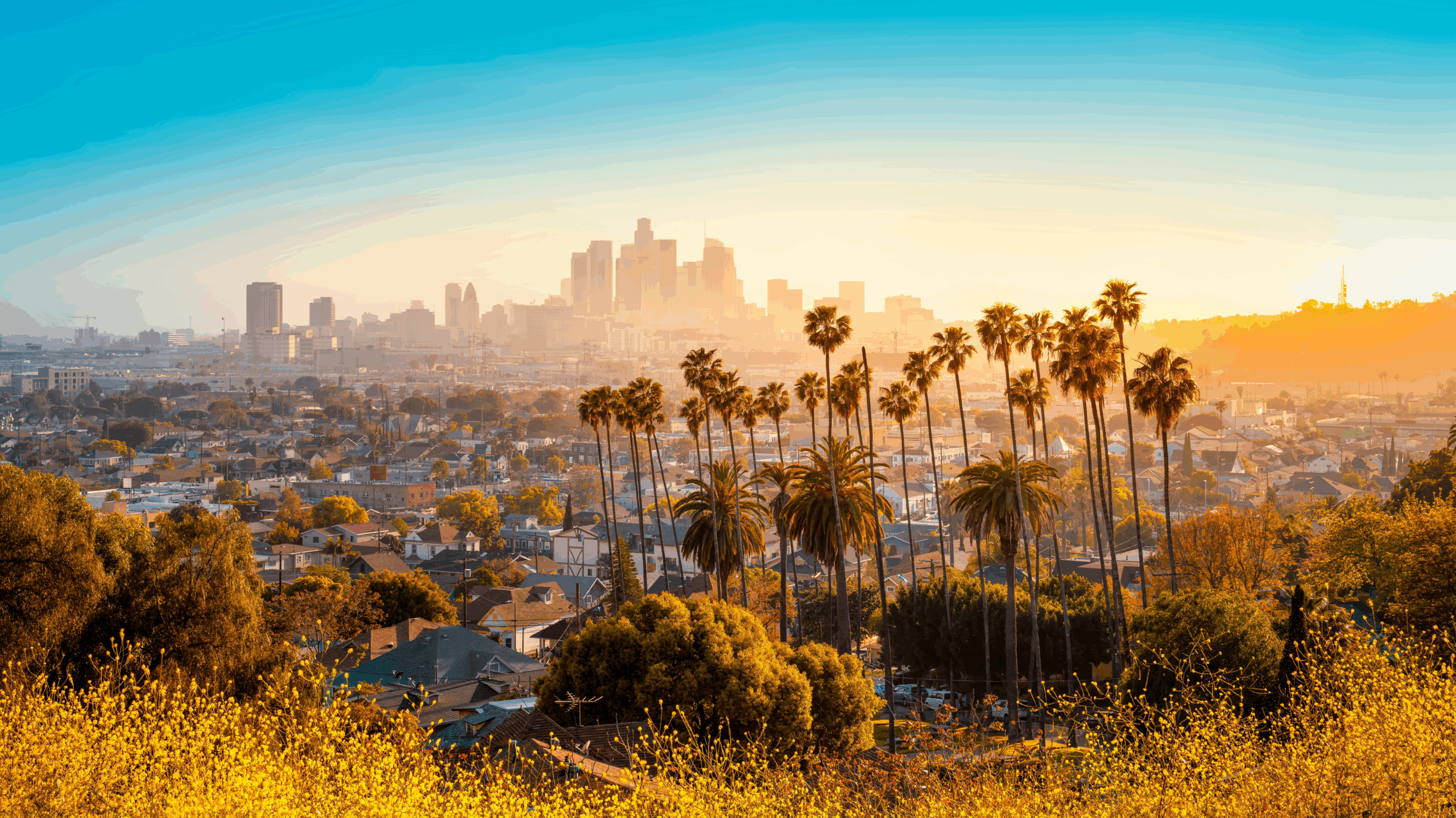 shutterstock_2311877229 1